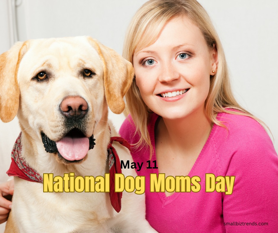 Housing activation and safe sites